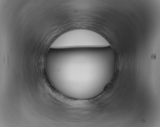 X0000110870036200906181020