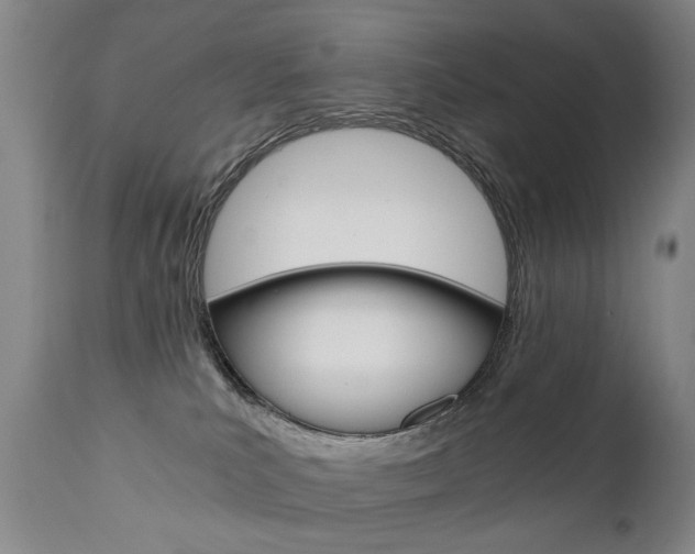 X0000110870039200906181020