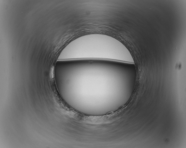 X0000110870041200906181020