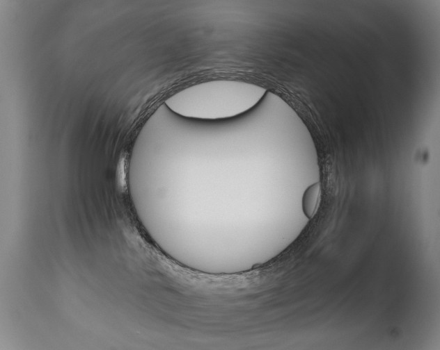 X0000110870042200906181020