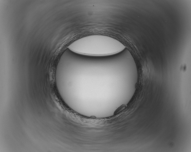 X0000110870044200906181020