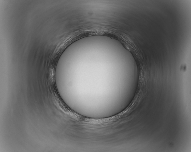 X0000110870045200906181020