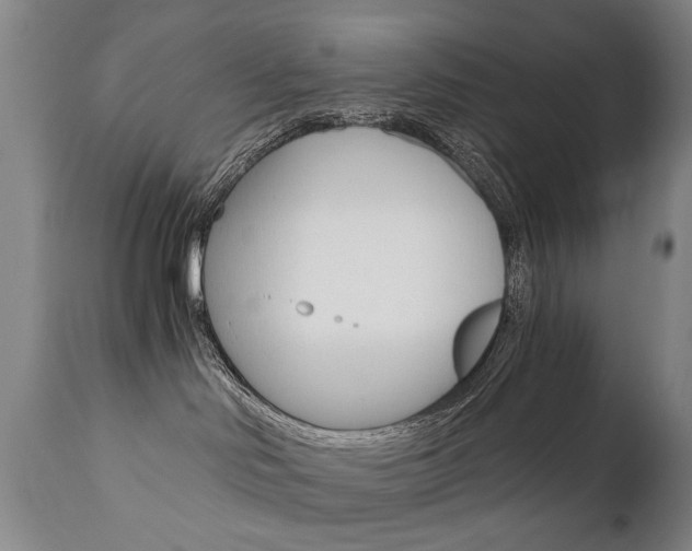 X0000110870046200906181020