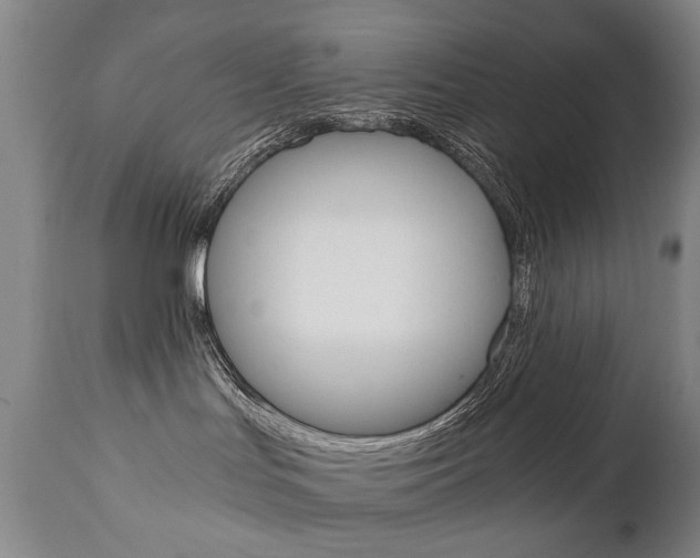 X0000110870047200906181020