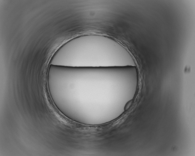 X0000110870049200906181019