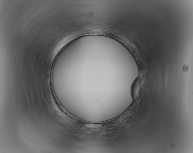 X0000110870051200906181019