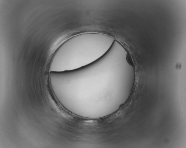 X0000110870053200906181019