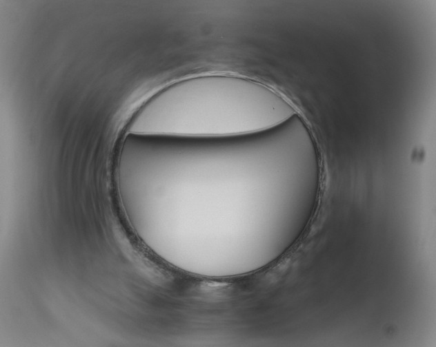 X0000110870055200906181019