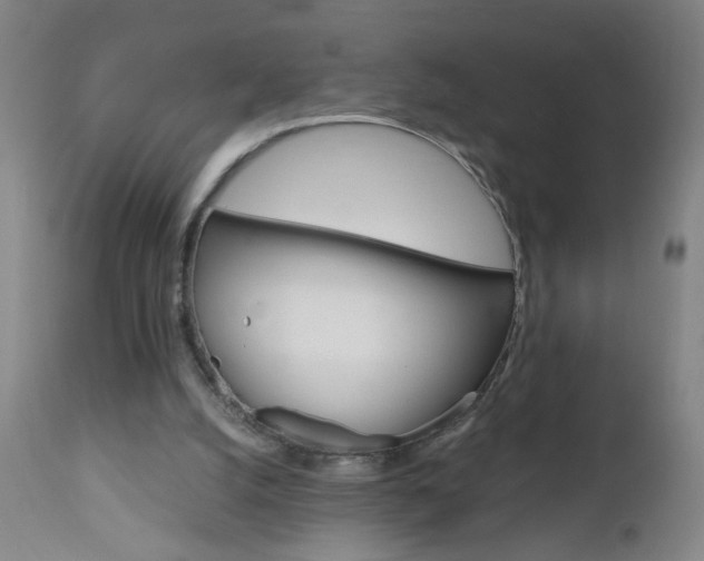 X0000110870056200906181019