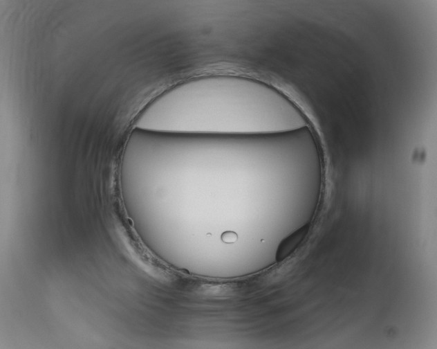 X0000110870057200906181019