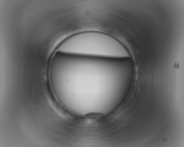 X0000110870060200906181019