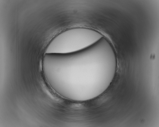 X0000110870061200906181019