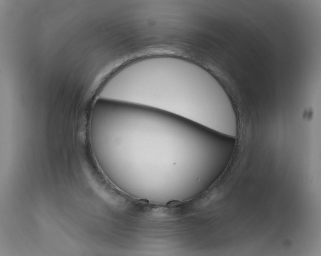 X0000110870064200906181019