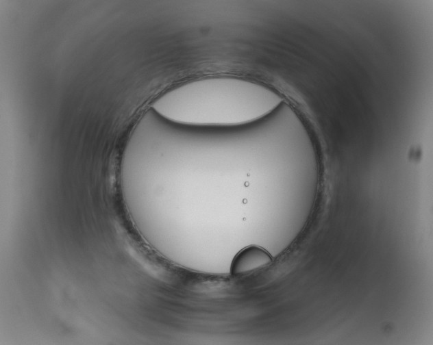 X0000110870065200906181019