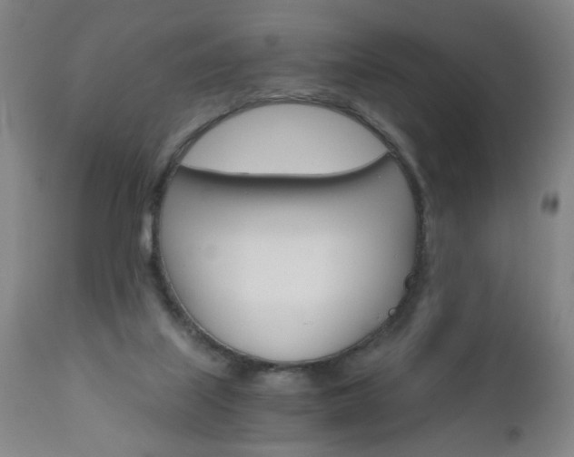 X0000110870067200906181019