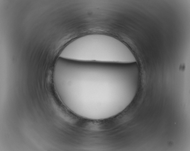 X0000110870071200906181019