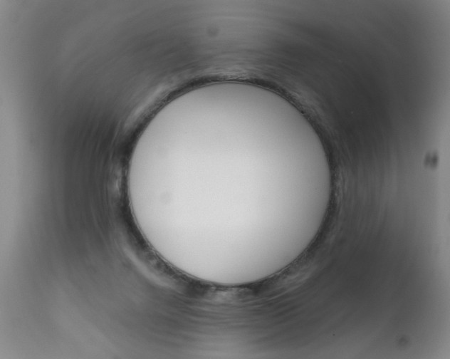 X0000110870072200906181020