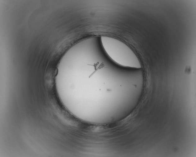 X0000110870074200906181020