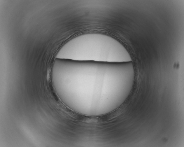 X0000110870075200906181020