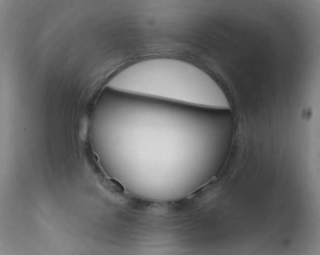 X0000110870076200906181020