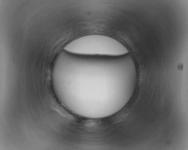 X0000110870077200906181020