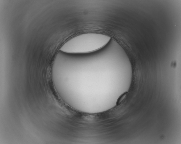 X0000110870079200906181020