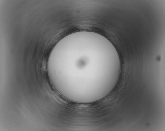 X0000110870081200906181020