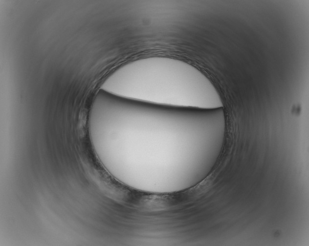 X0000110870082200906181020