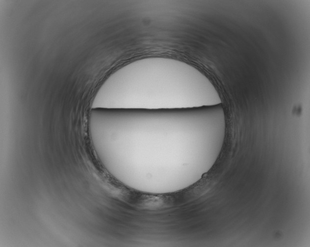 X0000110870083200906181020