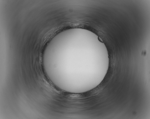 X0000110870085200906181020