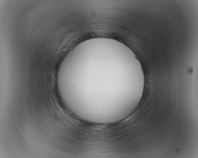 X0000110870086200906181020