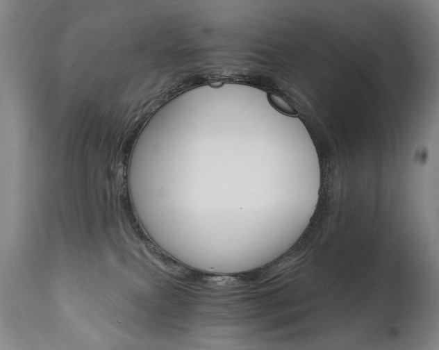 X0000110870087200906181020