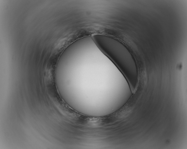 X0000110870088200906181020