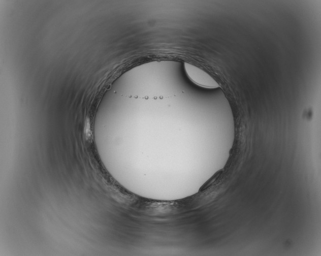 X0000110870089200906181020