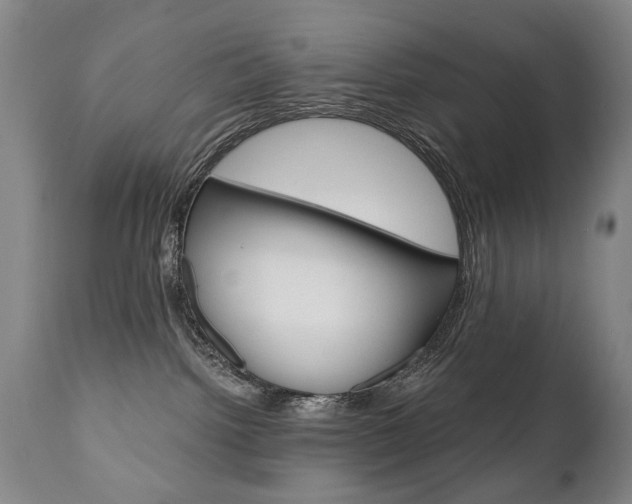 X0000110870092200906181020