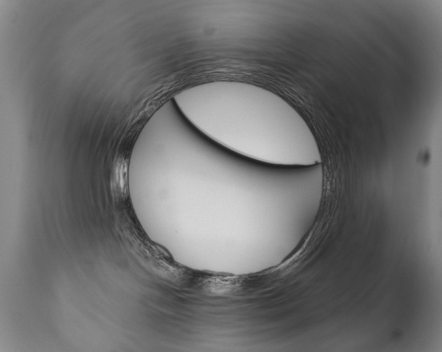 X0000110870094200906181020