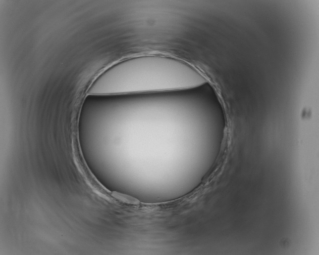 X0000110870097200906181019