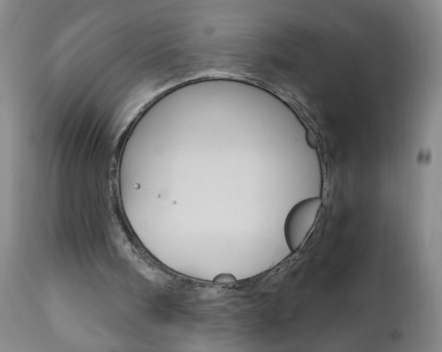 X0000110870098200906181019