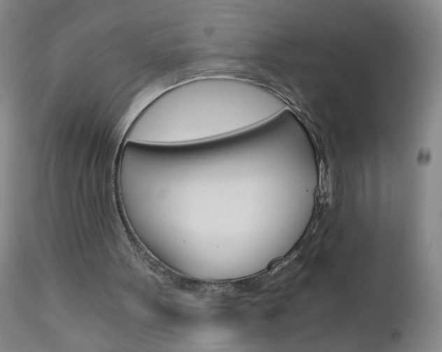 X0000110870099200906181019