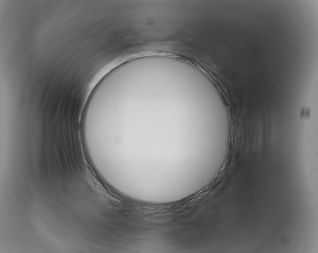 X0000110870100200906181019