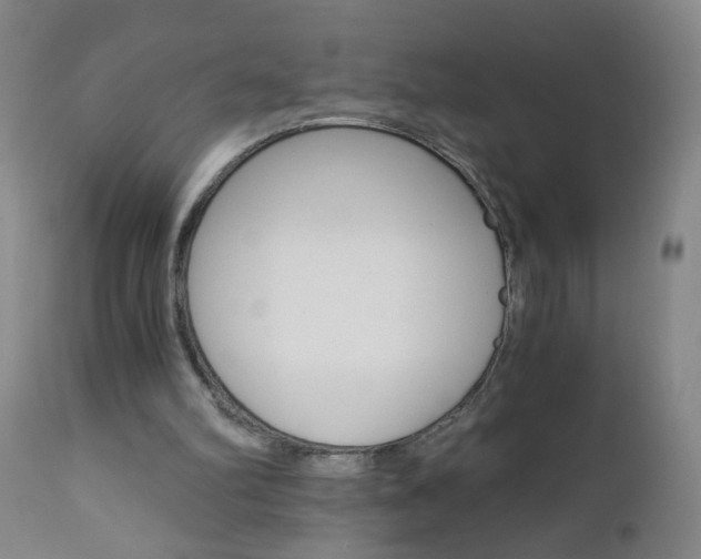 X0000110870102200906181019