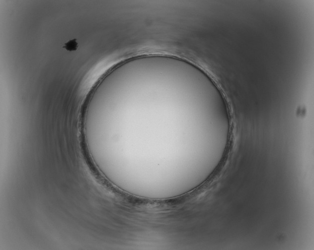 X0000110870103200906181019