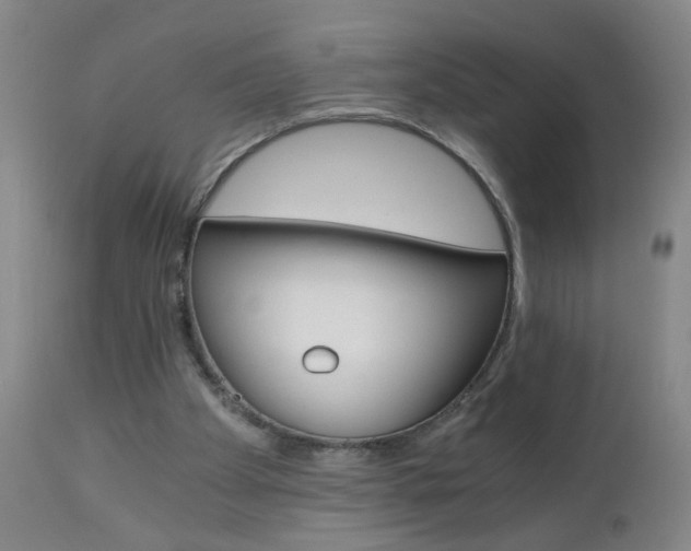 X0000110870105200906181019