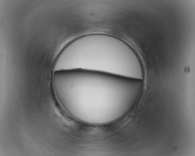 X0000110870107200906181019