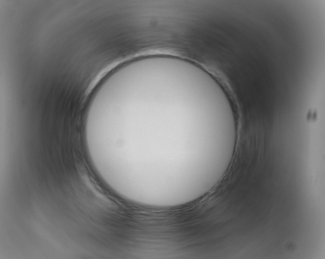 X0000110870108200906181019