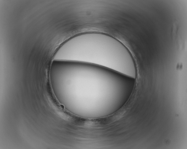 X0000110870109200906181019