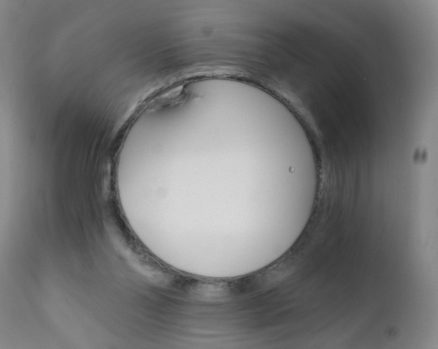 X0000110870110200906181019