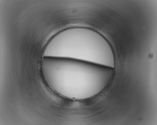 X0000110870111200906181019