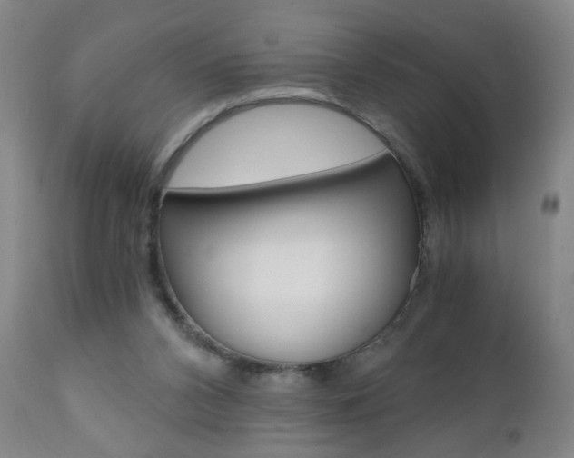 X0000110870112200906181019