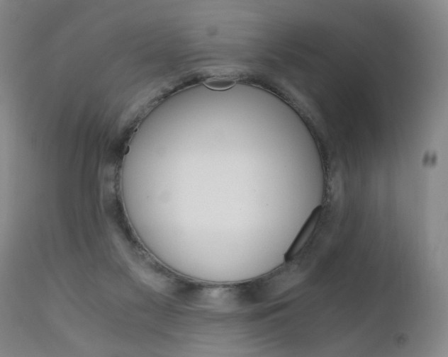 X0000110870117200906181019